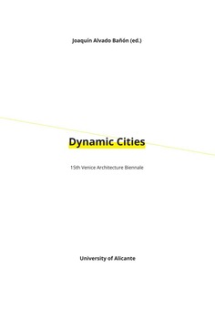Dynamic Cities