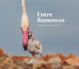 Portada de: Entre flamencos