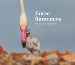 Entre flamencos