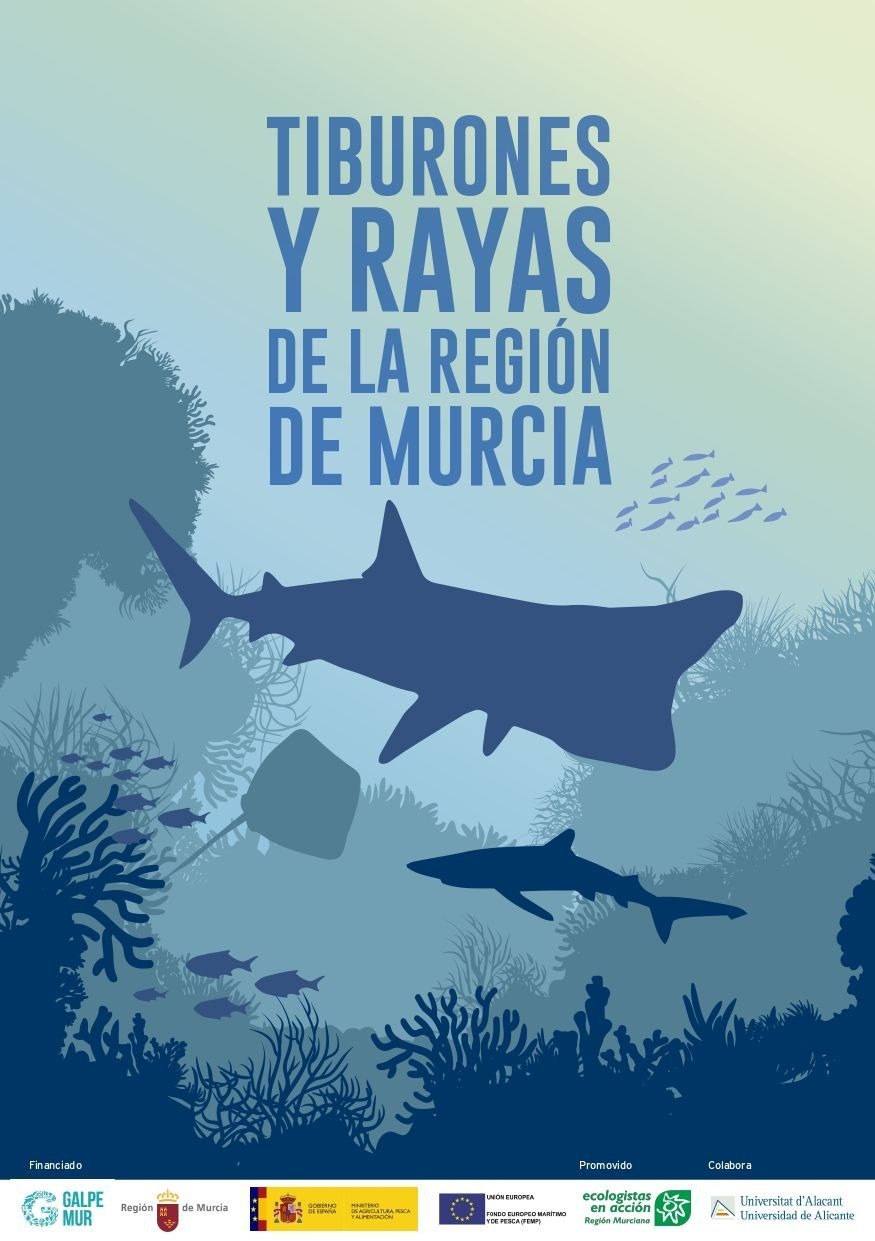 Tiburones y rayas de la regiÃ³n de Murcia